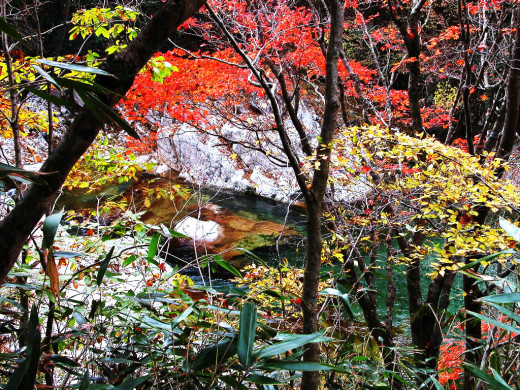 31111 (a): :1024x768